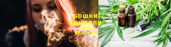 ПСИЛОЦИБИНОВЫЕ ГРИБЫ Валуйки