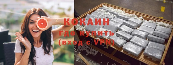 тгк Алзамай