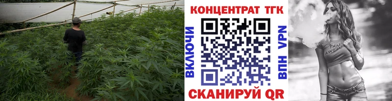 как найти закладки  Калач-на-Дону  ТГК Wax 