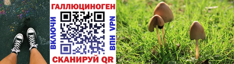 Галлюциногенные грибы GOLDEN TEACHER  Калач-на-Дону 