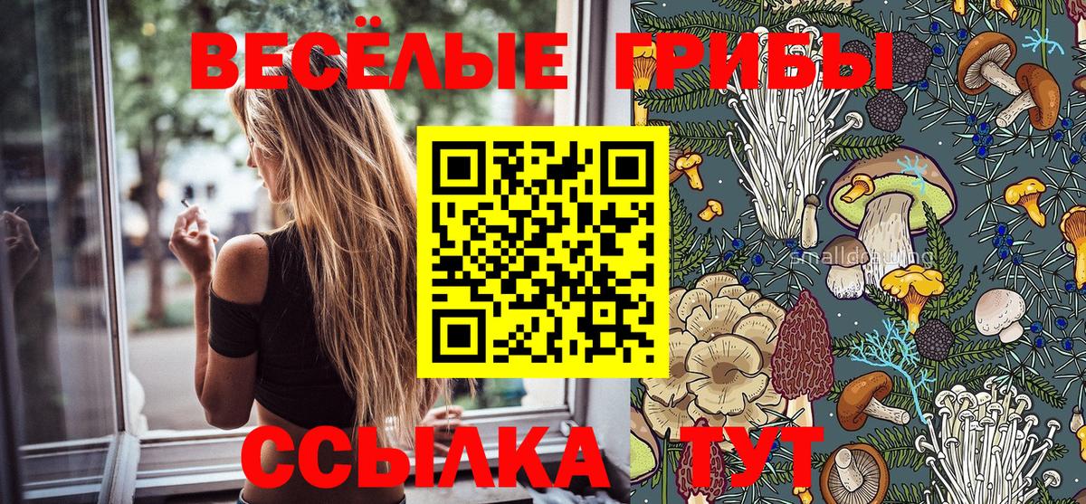 Галлюциногенные грибы мицелий  Вход с VPN  Калач-на-Дону 
